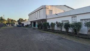 ba29ad8d55ba780ca1544a10fabd7c85